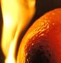 Burnt Oranges