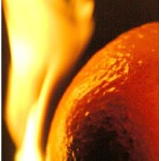 Burnt Oranges : A Film By Silvia Malagrino
