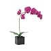 Torre & Tagus Orchid Potted Single Stem, 28-Inch, Purple