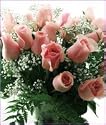 24 Valentine's Day Pink Long Stemmed Roses