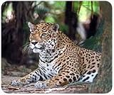 Jaguar Mousepad