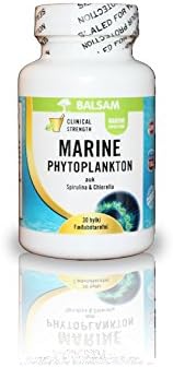 Pure Marine Phytoplankton Supplement - 100% Natural - GMP Approved - Replenishes Your Body and DNA (Blue)