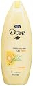 Dove Go Fresh Burst Beauty Body Wash, 24-Ounce Bottle (Pack of 2)