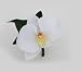 Tropical Silk Orchid Boutonniere - Wedding Boutonniere