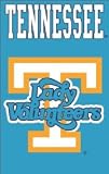 AFLVO TN Lady Vols 44x28 Applique Banner