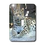 Wild animals - Leopard - Light Switch Covers - single toggle switch