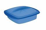 Orka A68903 Silicone Square Steam Cooker, Blue