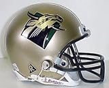 South Florida Bulls Riddell Mini Helmet