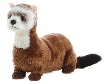31y%2BbGa27uL Aurora Plush Ferret 8 inch Mini Flopsie