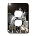 Farm Animals - Pygmy Goat - Light Switch Covers - 2 plug outlet cover