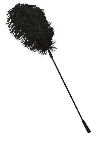 Produkt-Bild: Bad Kitty Feder schwarz