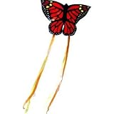Monarch Butterfly