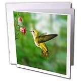 Birds - Hummingbird - Greeting Cards-12 Greeting Cards with envelopes