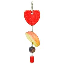 Niteangel Bird Parrot Treat Holder, Fruit Vegetable Holder Skewer, Foraging Toy for Parrots (Red)
