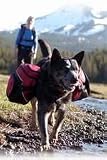 Ruff Wear Palisades Backpack and Hydration System - Small