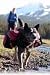 Ruff Wear Palisades Backpack and Hydration System - Small