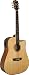Washburn WD35 Series WD35SCE Acoustic Electric Guitar