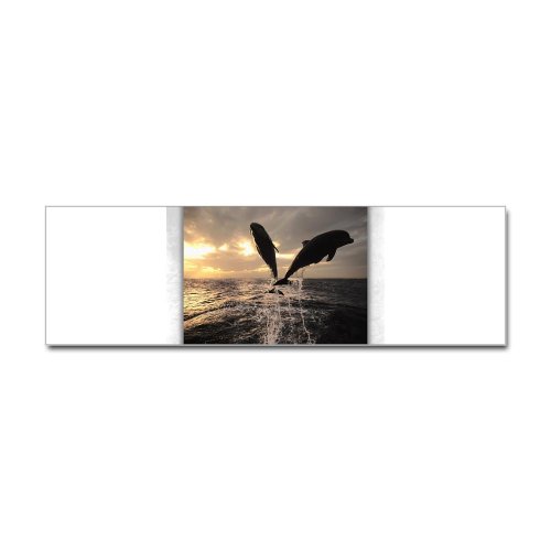 Bumper Sticker Dolphins Flying in Sunset