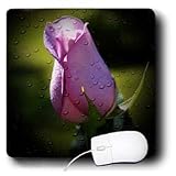 WhiteOak Photography Inspirational Floral Prints - Believe Purple Rose - Mouse Pads