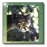 Florida Green Eyed Panther - 10x10 Wall Clock