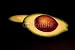 Wallmonkeys Peel and Stick Wall Decals - Avocado on Black - Removable Graphic