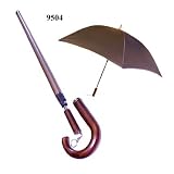 Umbrella Cane