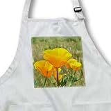31y0O0r1A%2BL. SL160  California Orange Poppies Field Flowers Flower Photograph   BLACK Full Length Apron With Pockets 22w X 30l