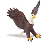 Buy Wings of the World - Bald Eagle by Safari Ltd by Safari Ltd