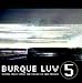 Burque Luv 5: Digital Music From the Sands of New Mexico
