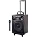 Electronics : Pyle PWM-A230 Battery Powered PA System With Wireless Microphone