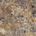 Formica Sheet Laminate 4 x 8: Butterum Granite