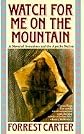 Cry Geronimo! (Watch for Me on the Mountain)