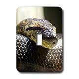 Snakes - Snake Portrait - Light Switch Covers - single toggle switch