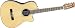Applause by Ovation AN13-4 Acoustic Guitar