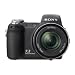 Sony Cyber-shot DSC-H5/B