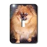 Dogs Pomeranian - Pomeranian Dog - Light Switch Covers - single toggle switch