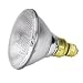 Office Products : SLI Lighting 61506 SLI Incandescent Light Bulbs, General Purpose, Soft White, 100 Watt, 120v, 24/ct