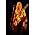 Vignette de Johnny Winter