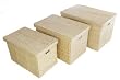 Image of Set of 3 Marlow Natural Storage Trunks