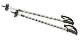 Sporting Goods : Atlas 2007 Women's Elektra 2-Part Poles