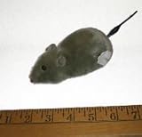 Funny Mouse Wind Up That Runs With Spinning Tail (colors will vary)