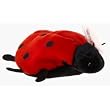 Ty Beanie Babies Lucky the Lady Bug Beanie Baby (Retired)