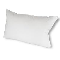 Down Etc White Goose Down CentroClean 650-Plus Fill Power Hypoallergenic King Pillow, White