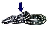 3/4 Spiked & Stud Latigo Cir.