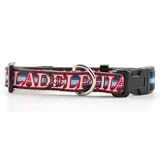 Philadelphia 76ers Large Dog Collar