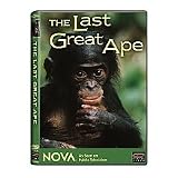 Nova: The Last Great Ape (Bonobos)