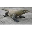 Life size komodo dragon statue Giant Lizard Sculpture (The Digital Angel)