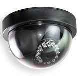Zmodo Indoor Home Security Camera with a 1/3 Sony CCD Sensor and 50' Night vision
