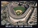 New York Yankees Beauty in the Bronx Puzzle