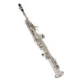 Cecilio 2Series Nickel Plated Soprano Saxophone w / Case and Accessories - B00158JCNW